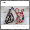 Best Dog Harnesses and Leashes